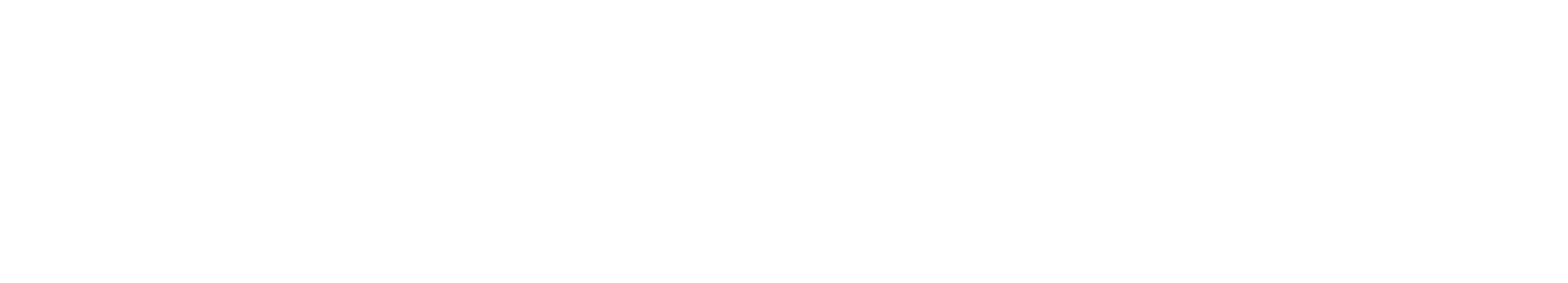 Vanguard Oasis IT Services